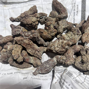 Vente en gros de fèces de dinosaures spécimens de monazite naturelle <span class=keywords><strong>fossile</strong></span> <span class=keywords><strong>os</strong></span> rare minéraux bruts cristal - Product Image 6