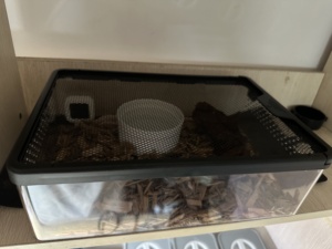 Terrario trasparente per rettili-scatola per alimentazione e allevamento ventilata con serratura a prova di fuga, materiale per PC per lucertola/scorpione/ragno - Product Image 3