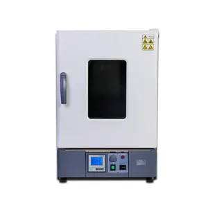 LABOAO Hot Air Sterilization Box Laboratory drying oven price drying Equipment