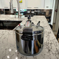 Ensemble de casseroles à pression écologiques en acier inoxydable de 4 L pour cuisinière à gaz, utilisation hôtelière, poignée en plastique, sans revêtement