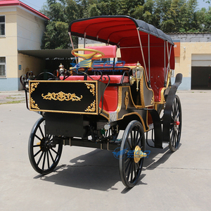 Venta Directa de Fábrica: Carruajes de Caballos para Bodas y Turismo, y Carruajes Eléctricos - Product Image 4