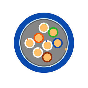 Câble LAN Testé F/UTP CAT5E 26AWG Cuivre Étamé PE+AL Foil Plenum Grade LSZH CMP Câble Ethernet Câbles de Communication - Product Image 6