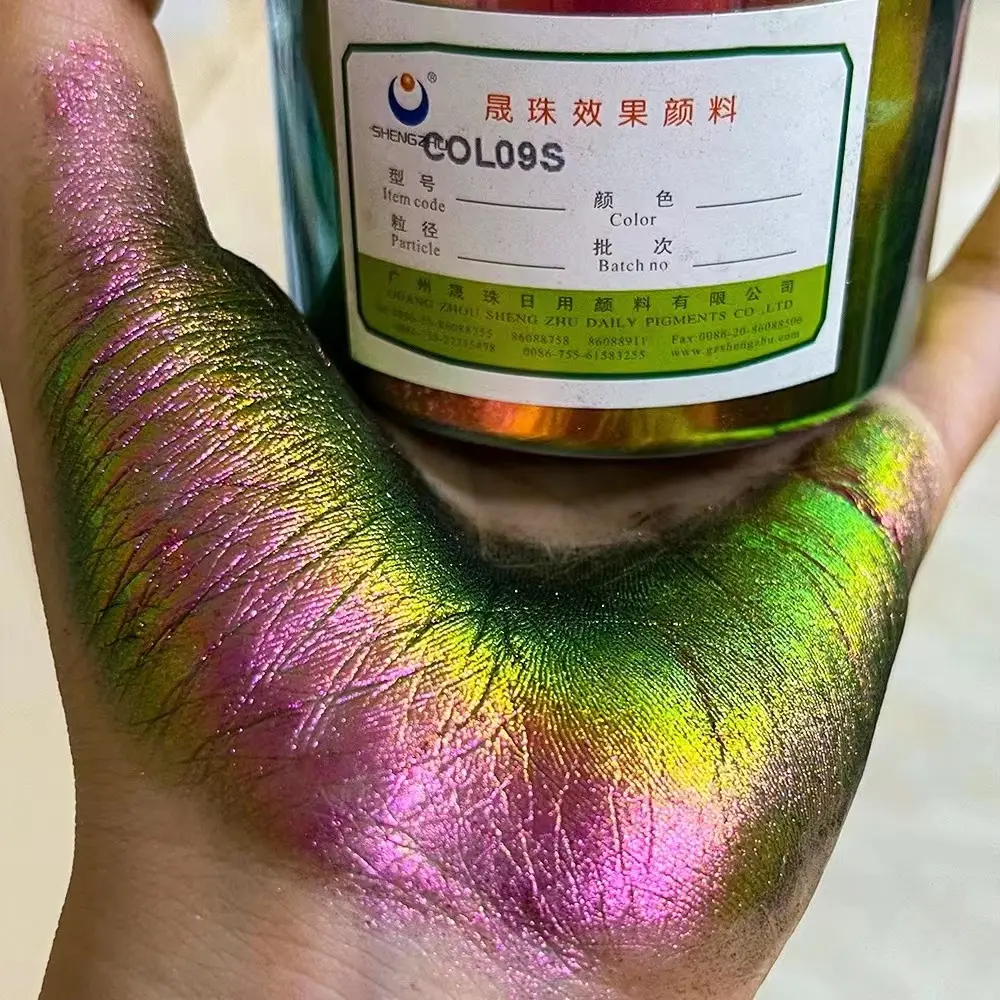 Poudre de caméléon 12 couleurs de haute qualité poudre de pigment de caméléon de fard à paupières de qualité cosmétique