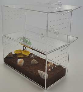 Acrylique Pet Habitat Vitrine Empilable Boîte Éleveur Insecte <span class=keywords><strong>Reptile</strong></span> Acrylique <span class=keywords><strong>Cage</strong></span> Pet House Jump Spider Tarantula - Product Image 2