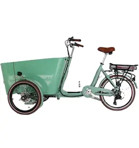 3 륜 전기 자전거 화물 전기 자전거 또는 애완동물 전기 자전거 앞 적재 화물 자전거
