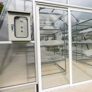 Secador <span class=keywords><strong>Solar</strong></span> Industrial YMZZ para Cacao Capacidad de 500 KG Garantía de 1 Año Origen Shandong - Product Image 3