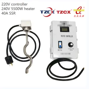 Controller continuo personalizzato marca TZCX 110 Volt 220 Volt con elemento riscaldante da 2000 Watt 5500 watt per la produzione di birra e distillazione