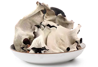 Vente en gros à prix compétitif de Champignons noirs séchés (Fungus Wood Ear) de troisième et quatrième récolte, grande taille