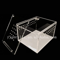 Vente en gros de cage à tarentule personnalisée pour petit animal de compagnie boîte à reptiles en plexiglas pour alimentation en araignée à sauter boîtier en acrylique transparent