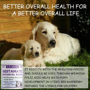 Gestamate Botanische Mischung Hunde-Nahrungsergänzungsmittel für Schwangere, Nach der Fortpflanzung, Schwangerschaft, Welpen und Entwöhnung - Product Image 2