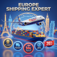 Expédition de Consolidation Europe DDP Transitaire Chine-Europe 15 Ans d'Expérience Combinez Plusieurs Fournisseurs Air+Express