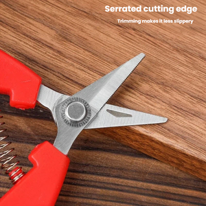 Sécateur de jardinage/élagage/graissage de 3 pouces avec poignées en plastique antidérapantes, idéal pour l'élagage <span class=keywords><strong>des</strong></span> arbres fruitiers - Product Image 3