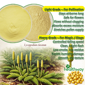 Suministro 100% Natural Licopodium Spore Powder Sinew <span class=keywords><strong>Polen</strong></span> Sinew Lycopodium Spore Powder - Product Image 3