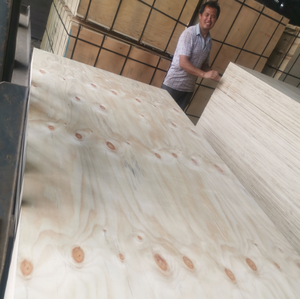 CDX Prix Inférieur 4X8 <span class=keywords><strong>Pin</strong></span> Extérieur Contreplaqué Plancher extérieur backplating plaque de bois 1220x2440 - Product Image 3