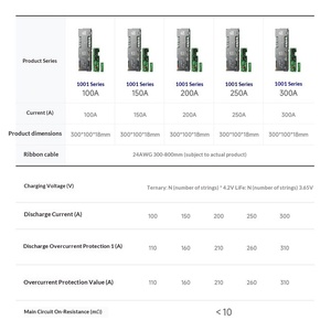BMS TDT compatible avec les onduleurs, 16S 48V 100A 200A 250A 300A, BMS Lifepo4 avec équilibrage actif 3A, RS485 CAN WiFi BT pour pack de batteries 48V - Product Image 4