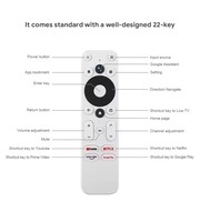 Grosir TV Remote Control pengganti Universal Smart Google TV Remote ONN Mecool TV Android kotak suara pengendali jarak jauh NVTC