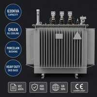 Transformateur de distribution immergé dans l'huile Wanbo-371 630 kVA avec moyeu en porcelaine pour poste de transformation extérieur et réseau électrique