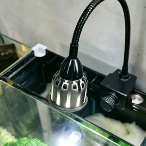 Aquarium en verre ultra-clair à angle droit avec filtre arrière, sans cadre, pour aquascaping, eaux douces et eaux salées - Product Image 5