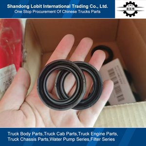 Kamyon yedek parçaları MT13 MT07 doğal gaz motoru yüksek kaliteli ateşleme bobini burç astar yağ keçesi 082V03905-0173 - Product Image 3