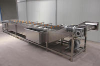 Machine à laver automatique pour fruits et légumes à bon prix, laveuse à brosses industrielle automatique pour fruits et légumes à vendre
