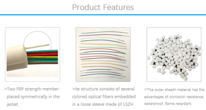 Analyse comparative des câbles à fibres optiques G.652D et G.657 pour une utilisation FTTH Gaine LSZH blanche 12 fibres - Product Image 3