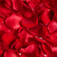 2500 fleurs éternelles pour bougies d'aromathérapie, décorations de fond et installations artistiques, salles de diffusion en direct, photographie de portrait