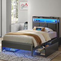 Lit plateforme rembourré de luxe moderne avec éclairage LED, 4 tiroirs avec grand espace de rangement pour un assemblage facile