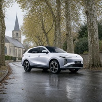 Nouveaux véhicules SUV essence Dongfeng Forthing TK5 2026 1.5T Turbo 140kW 300Nm 7DCT 5 places Vente en gros directe usine