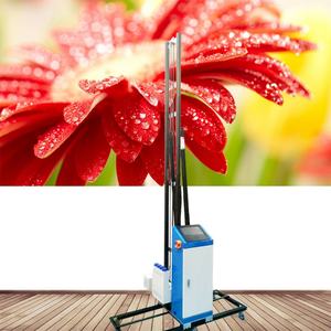 Máquina Automática de Impresión de Paredes en 3D con Cabezal de Impresión TX800, Tinta UV, Impresión Inalámbrica, Impresora de Paredes CMYK - Product Image 6