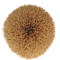 Machine à fabriquer des bâtonnets d'encens en bambou pour les bâtonnets d'encens indiens, tailles 9 pouces/11 pouces/12 pouces/15 pouces/25 cm