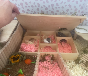 Fabrika özel ahşap küçük evcil Woodland ev habitatları çok odacıklı <span class=keywords><strong>Hamster</strong></span> evi <span class=keywords><strong>Hamster</strong></span> <span class=keywords><strong>Hamster</strong></span> <span class=keywords><strong>Hamster</strong></span> Gerbils fareler için labirent - Product Image 3