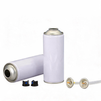 Bombe aérosol métallique vide en fer blanc pour emballage, solution de sourcing unique pour produits chimiques, peintures et soins personnels, taille personnalisée