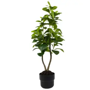 Obtusifolia sandersii tetraphylla plantas plásticas de 85 cm 136 folhas decoração de jardim ornamental bonsai árvore de peperomia artificial