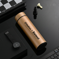 Bouteille isotherme personnalisée avec logo, 500 ml, thermos à vide, affichage de la température LED, bouteille d'eau intelligente en acier inoxydable avec filtre infuseur