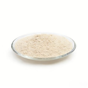 Starter de bactéries lactiques probiotiques (Lactobacillus Plantarum Core) certifié ISO9001, auxiliaire de fermentation industrielle, Chine - Product Image 1