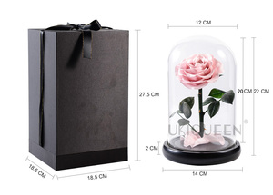 Rose de noël éternelle sous dôme de verre comme la <span class=keywords><strong>belle</strong></span> <span class=keywords><strong>et</strong></span> la <span class=keywords><strong>bête</strong></span>, fleur romantique, pour la saint-valentin, pour un cadeau de noël - Product Image 4