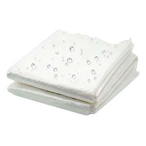 Bâche <span class=keywords><strong>agricole</strong></span> en PE renforcée sur mesure pour la protection des raisins et des cerises contre la pluie dans les vergers - Product Image 1