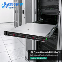 CTO HPE ProLiant DL320 Gen12 1U Rack Server Penyimpanan Campuran SFF LFF untuk Penerapan Layanan Host dan Situs Bisnis Kecil yang Disesuaikan