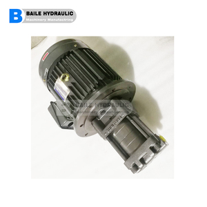 Bomba de Engranajes Serie CQTM: CQTM31, CQTM41, CQTM51, CQTM61, CQTM22, CQTM32, CQTM42, CQTM52, CQTM62, CQTM23, CQTM33, CQTM43, CQTM53, CQTM63 - Product Image 3