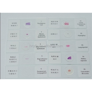 All Types Factory <strong>Microscope</strong> <strong>Slides</strong> Chemical Lab <strong>Supplier</strong> Human Histology Oral/tooth <strong>Pathology</strong> <strong>Microscope</strong> Prepared <strong>Slides</strong> Set - Product Image 4