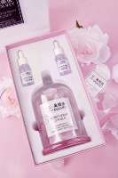 Vente en gros machine à parfum pour la maison four diffuseurs essentiels pour la maison prise murale en verre léger pierre de cristal d'aromathérapie aromatique