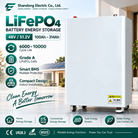 Batterie solaire LiFePO4 50 kWh avec BMS intelligent et extension parallèle pour les intégrateurs de systèmes de stockage d'énergie hors réseau