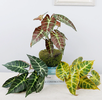 Vcare Lot de 10 feuilles de paon artificielles en plastique, plantes en pot Taro d'automne, décoration intérieure écologique pour salon de style nordique