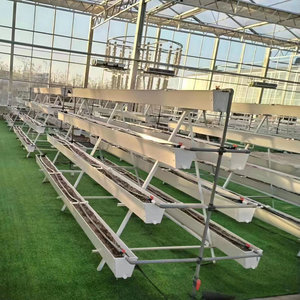 <span class=keywords><strong>Gouttière</strong></span> de plantation de fraises à faible coût - Product Image 1