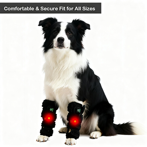 Sabuk Terapi Cahaya Merah Portabel Pawbrio untuk Hewan Peliharaan, Alat Pereda Nyeri yang Dapat Dipakai, Dapat Disesuaikan untuk Anjing Kucing, Arthritis, Pemulihan Otot, Luka - Product Image 1