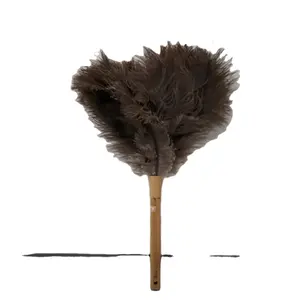 Venta al por mayor de alta calidad Pental 12 "herramientas de limpieza de plumas de pollo plumero de plumas de avestruz