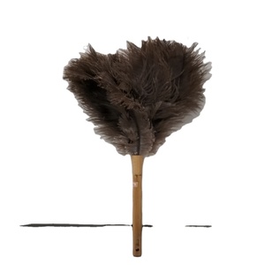 Venta al por mayor de alta calidad Pental 12 "herramientas de limpieza de plumas de pollo plumero de plumas de avestruz - Product Image 1