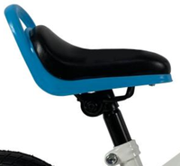 Nouveau vélo d'équilibre 10 pouces pour enfants de 2 à 5 ans, avec fourche en acier, modèle Flourish, idéal pour l'apprentissage et le jeu