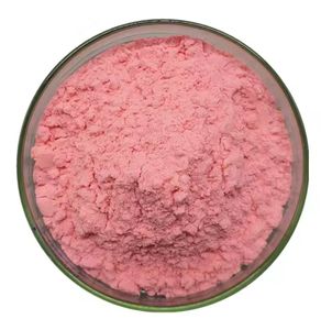 Polvo de jugo de fruta de <span class=keywords><strong>sandía</strong></span> instantánea orgánica liofilizada con solubilidad en agua Natural pura - Product Image 3