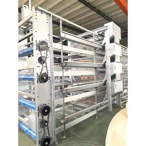 Sıcak Daldırma Galvanizli H Tipi Otomatik Yumurtacı Tavuk Kafesi - Product Image 4